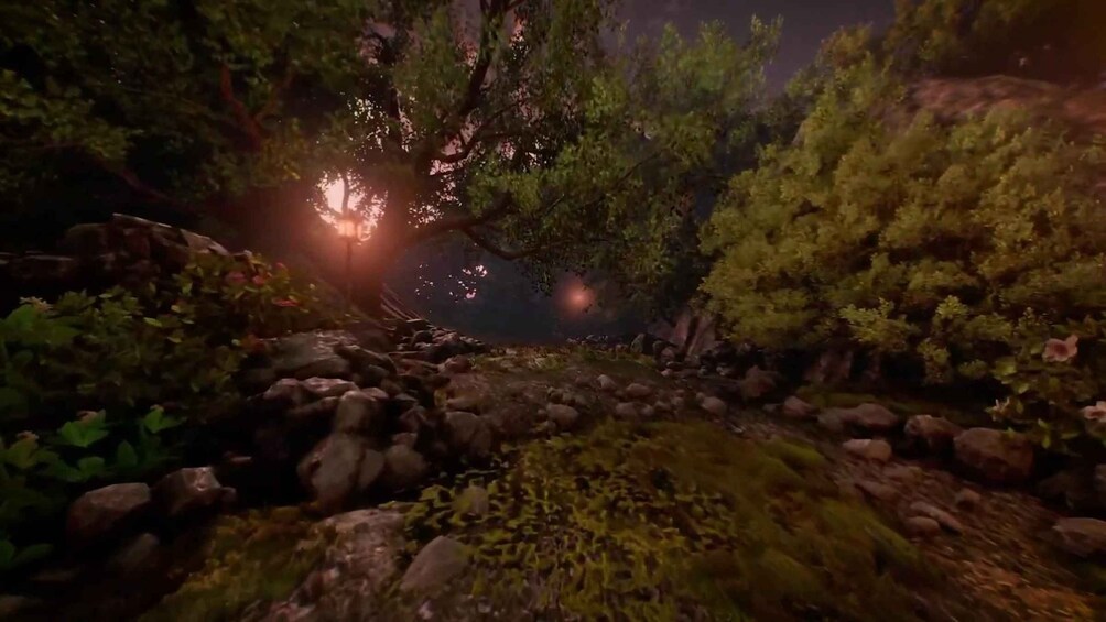 A forest path with rocks and moss, surrounded by dense trees and illuminated by a light source. 5