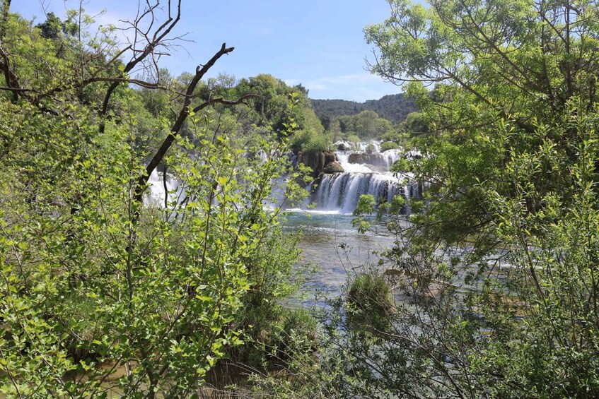 Ein Wasserfall, umgeben von üppigem Grün und Bäumen. 5