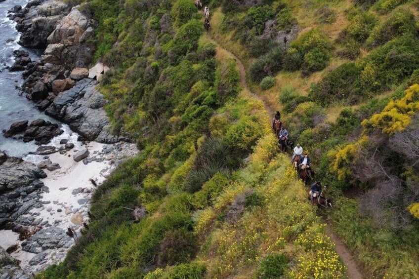 A group of people hiking on a trail surrounded by greenery and rocky terrain. 1