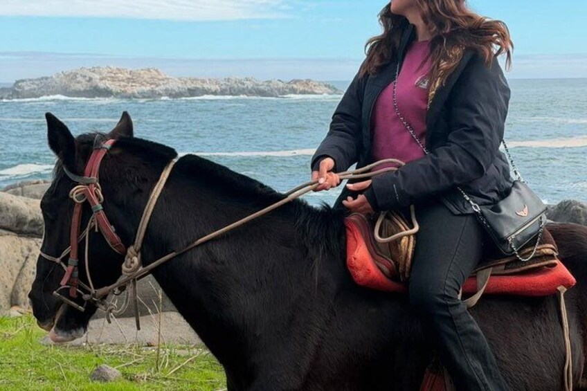 A person riding a black horse with a red saddle on a rocky shore by the sea. 5