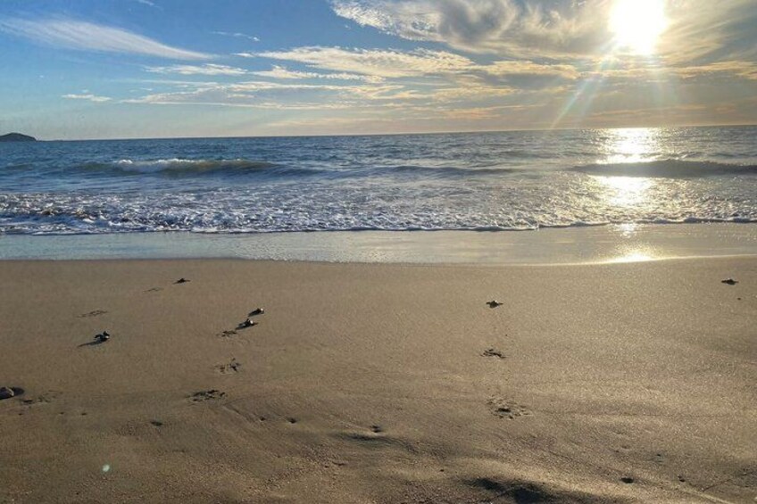A beach with footprints leading to the water, a clear sky, and the sun setting over the ocean. 5