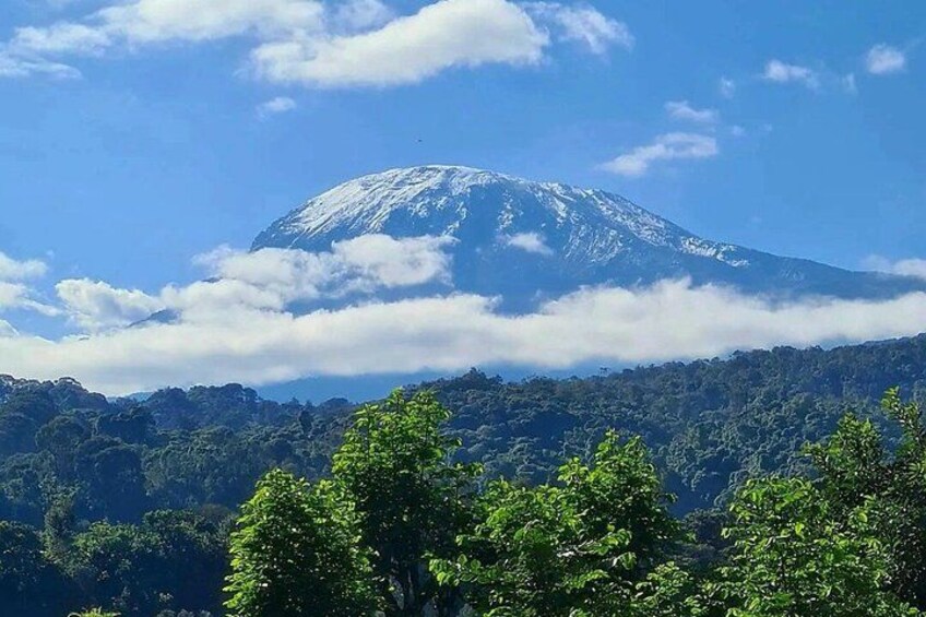 A snow-capped mountain, forested hills, and a clear blue sky. 3