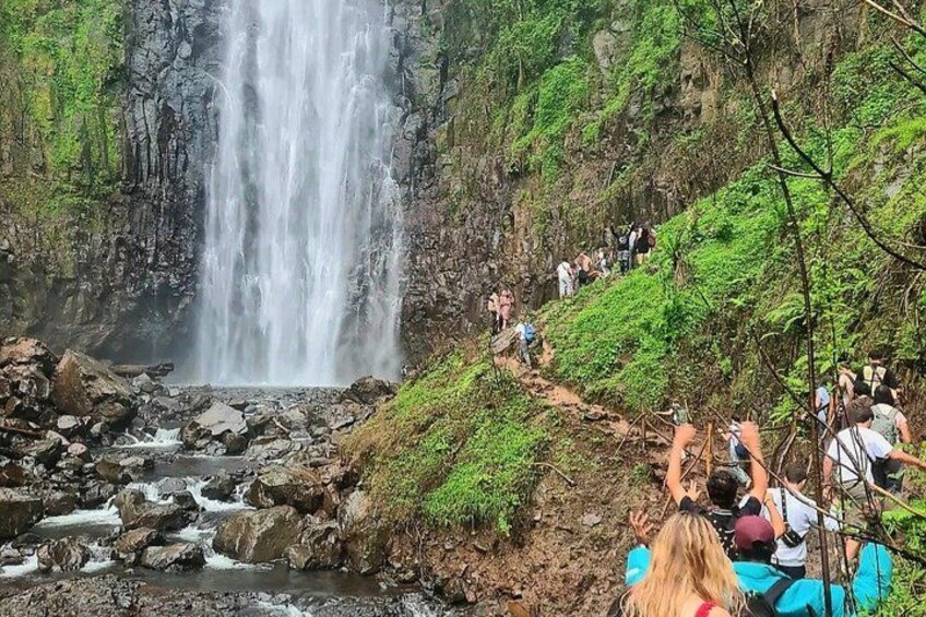 A waterfall surrounded by lush greenery and a group of people observing it. 5