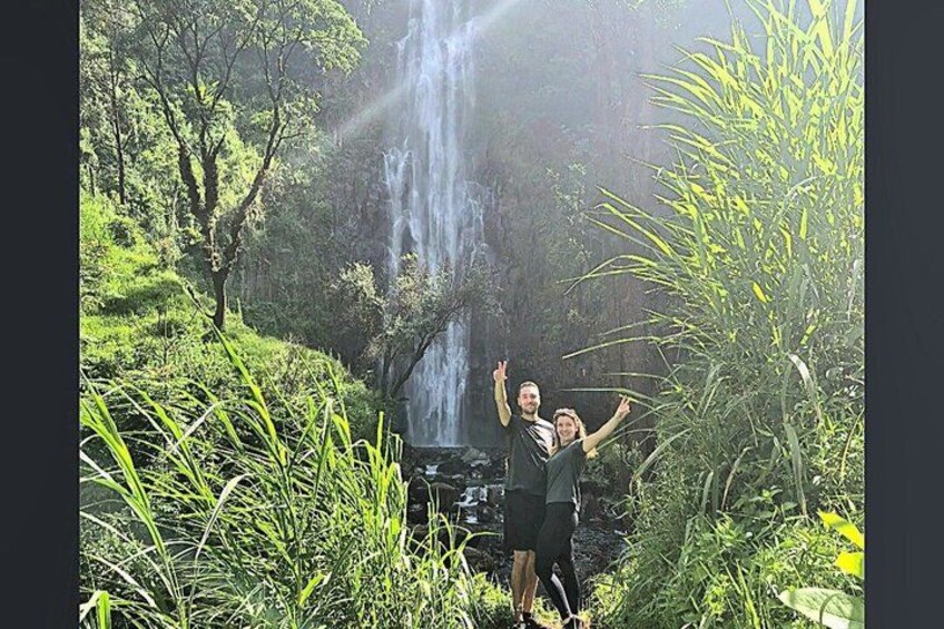 A waterfall surrounded by lush greenery. 2