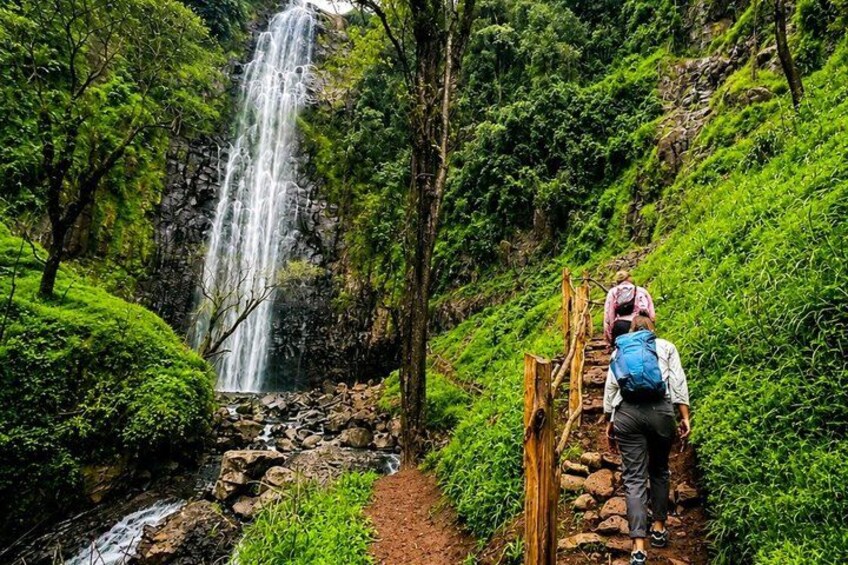 A waterfall, a wooden bridge, and a hiker with a backpack. 1