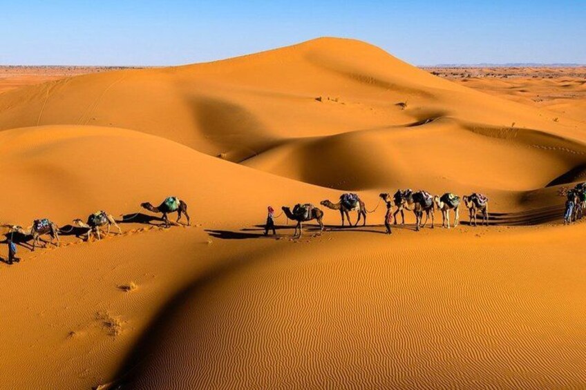 A desert landscape with sand dunes and camels. 1