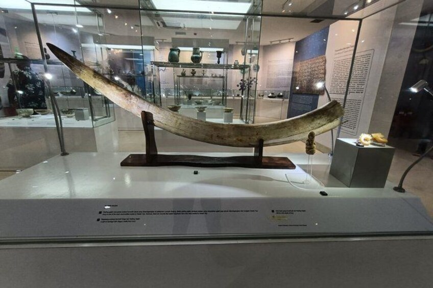 A large, curved artifact displayed in a museum setting. 3