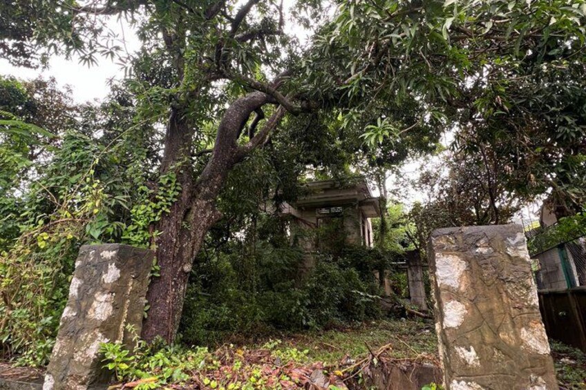 A stone structure surrounded by dense foliage. 3