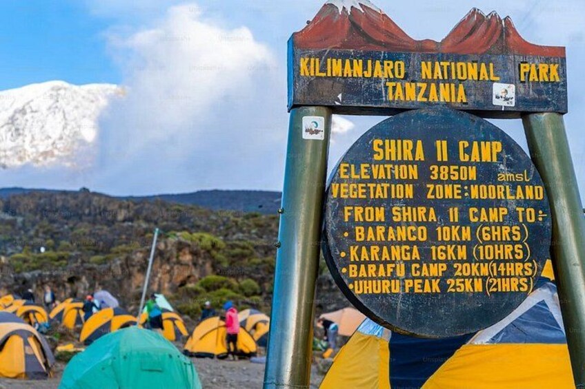 A sign at Kilimanjaro National Park with information about Shira II Camp, including elevation and distances to nearby camps. 4