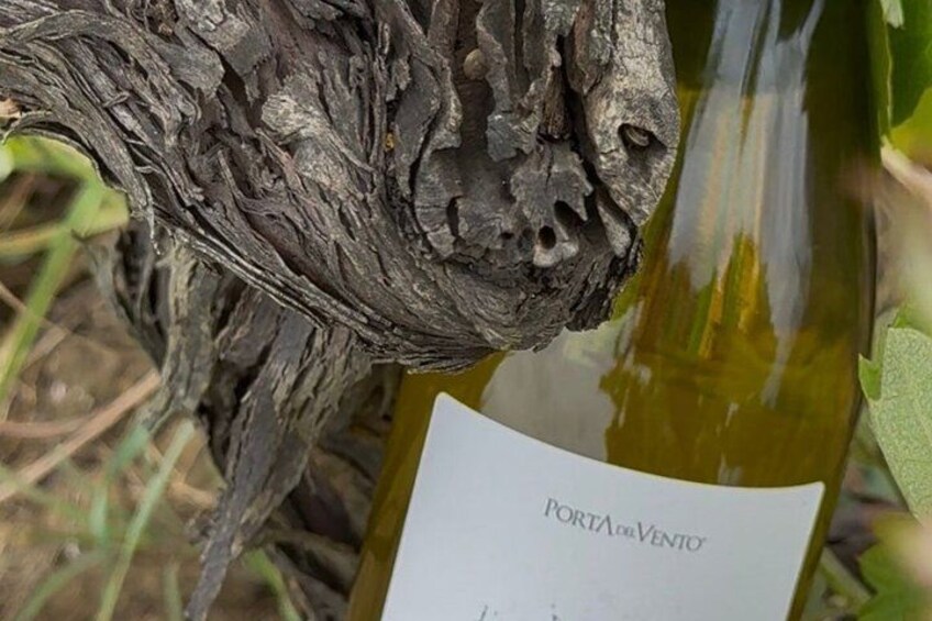 A bottle of wine with a label that reads 'PORTA de VENTO.' 2