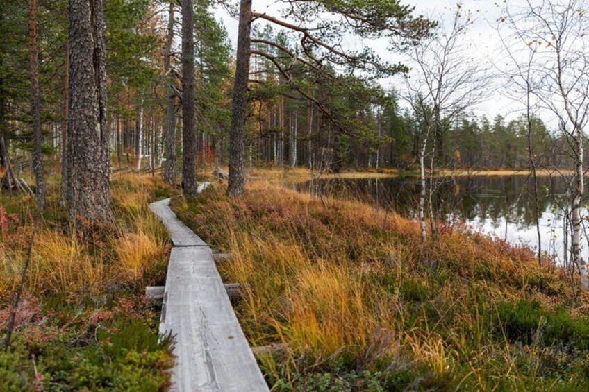 A wooden boardwalk through a forested area with a lake. 3