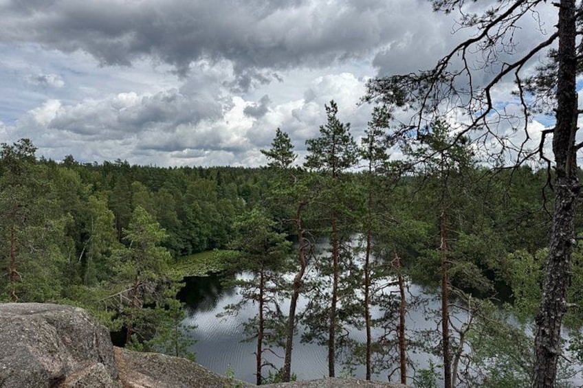 A forested area with a lake and a cloudy sky. 3