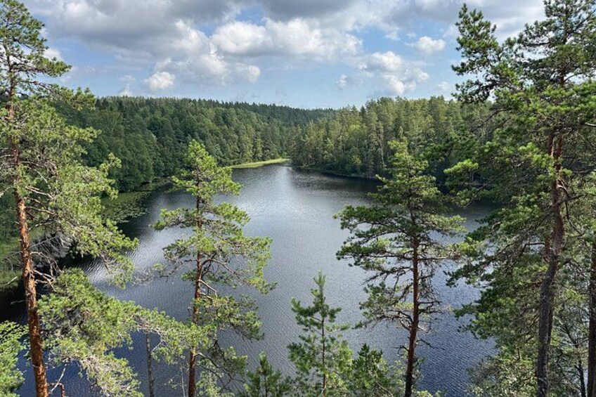 A lake surrounded by dense forest with tall trees. 4