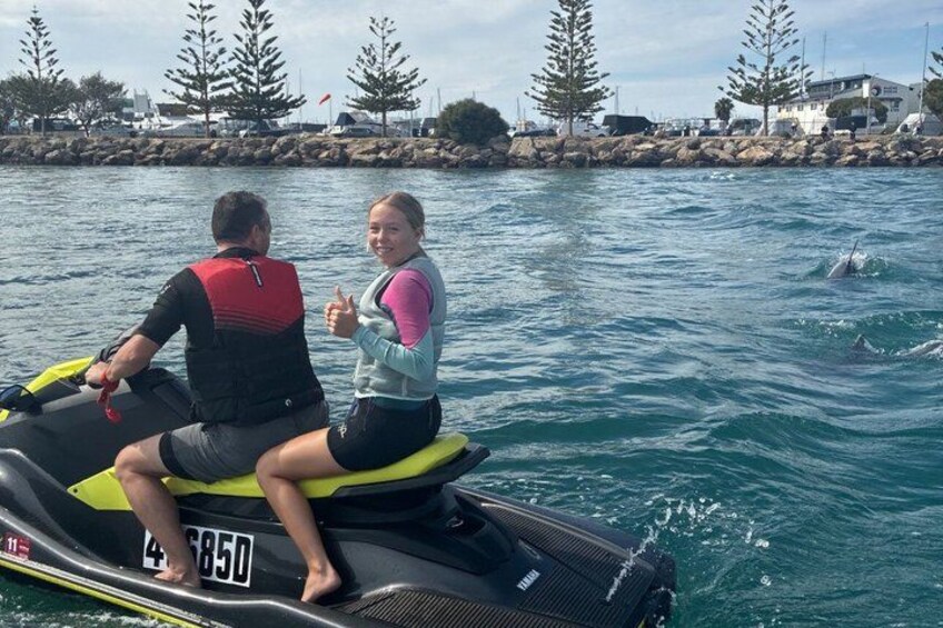 Two people on a jet ski, a rocky shoreline with trees, and dolphins in the water. 2
