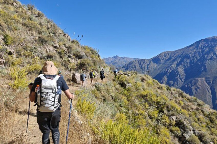 Colca Canyon One Day Tour Hike Condor Viewpoint Inca Trail 5