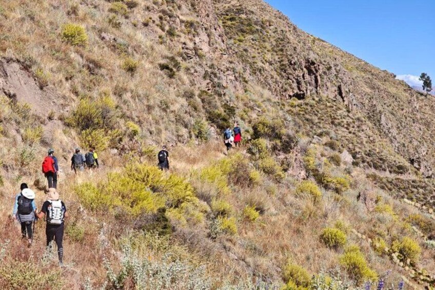 Colca Canyon One Day Tour Hike Condor Viewpoint Inca Trail 4