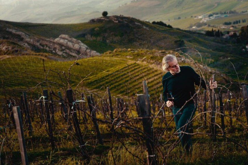 A person in a vineyard with rows of grapevines and a hilly landscape in the background. 5