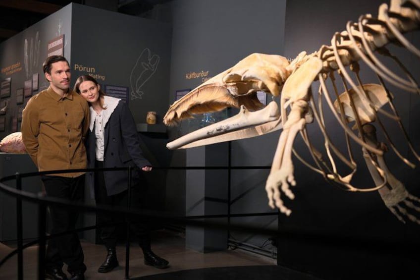 A museum exhibit with a large skeleton display and informational panels. 4