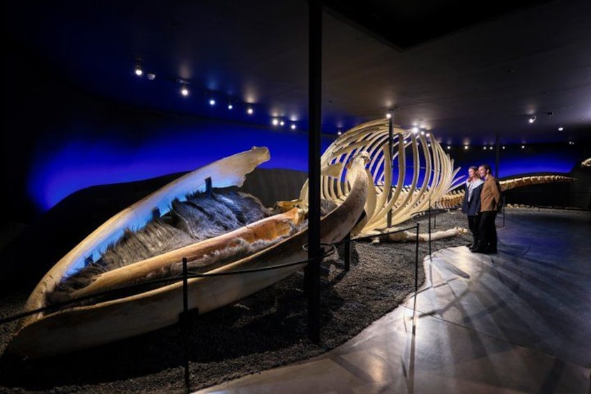 A museum exhibit with a large boat skeleton and a smaller boat. 1