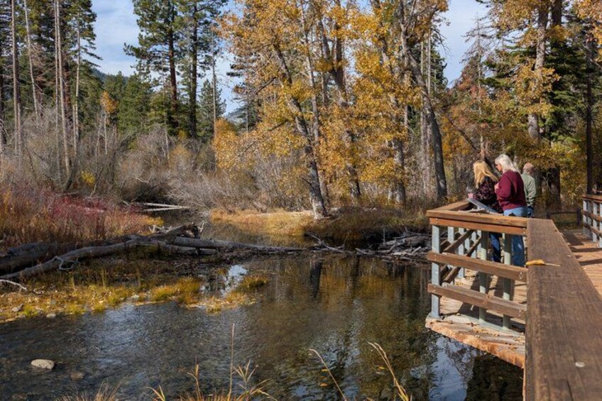 A wooden bridge over a calm river, surrounded by autumn-colored trees and a forested area. 3