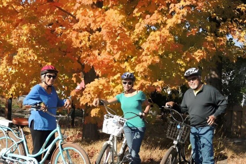 Three people on bicycles, autumn leaves, and a fence in the background. 3
