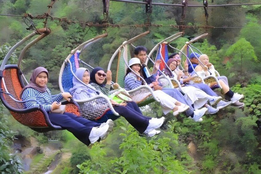 People on a suspended swing ride over a forested area. 4