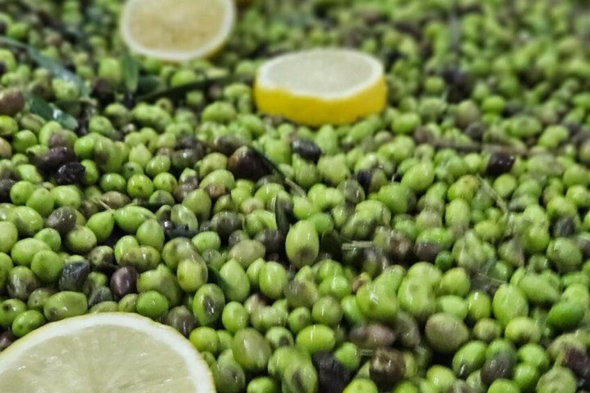 A close-up of green and black beans with lemon slices. 2