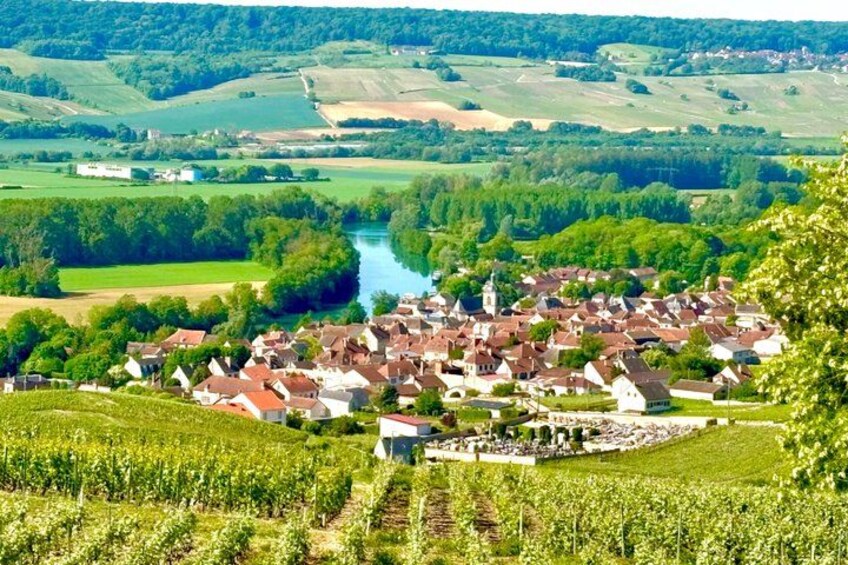 A village with a river, vineyards, and rolling hills. 5