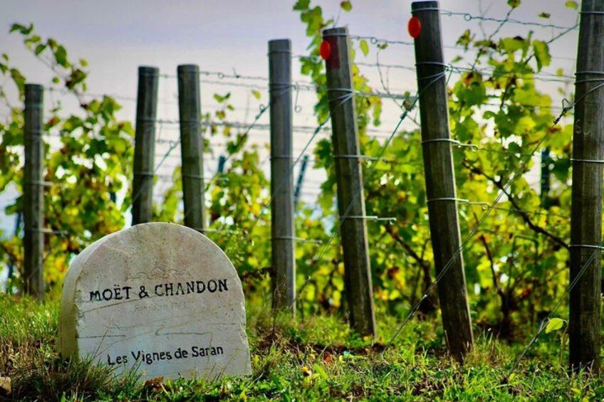 A headstone with the inscription 'MOËT & CHANDON Les Vignes de Saran' in a vineyard setting. 2