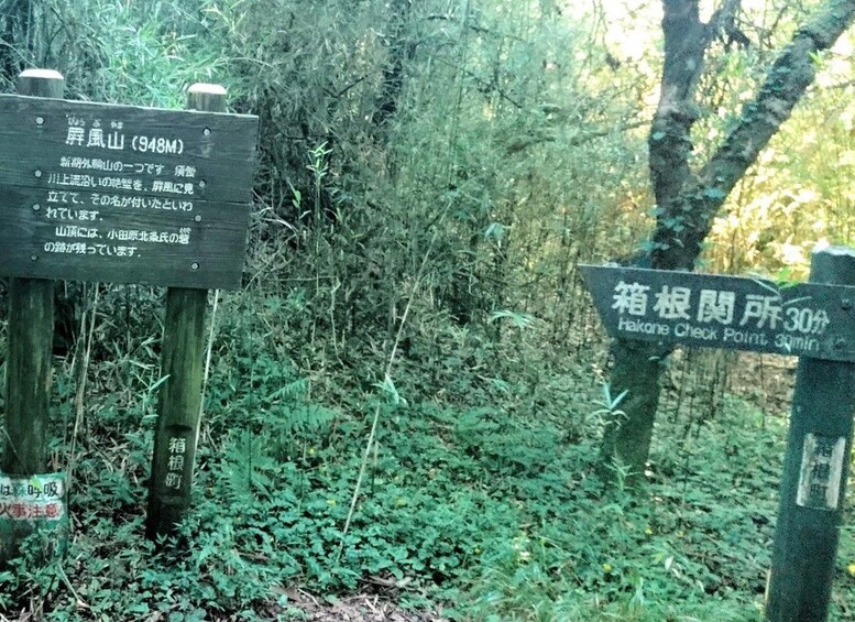 Skilt med japansk tekst, omgivet af frodig vegetation. 3