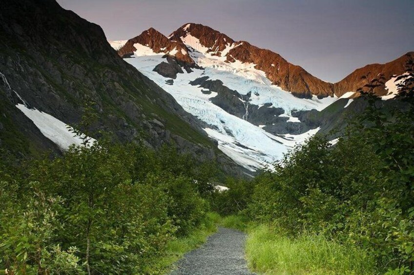 A mountain path leading to a glacier with snow patches, surrounded by dense green vegetation. 5