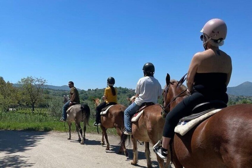A group of people riding horses on a road with a clear sky and greenery in the background. 4