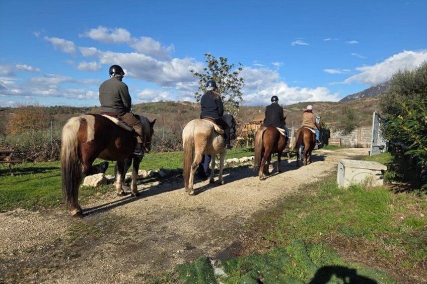A group of people riding horses on a dirt path with a mountainous landscape in the background. 5