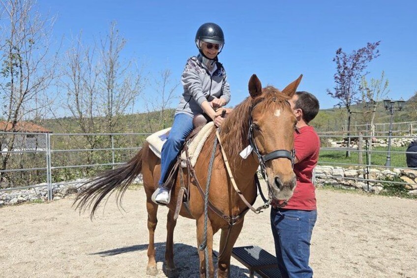 A person riding a horse in an outdoor arena with a fence and trees in the background. 3