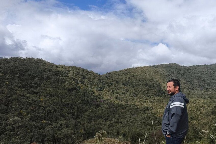 A person standing on a hill with dense forest and clouds in the background. 2