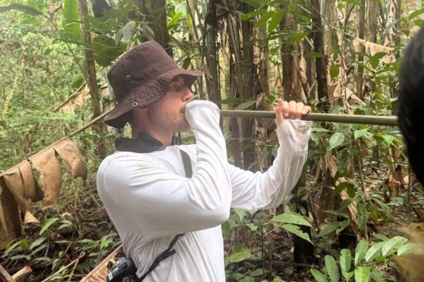 A person in a white shirt and hat holding a stick, surrounded by dense forest. 5