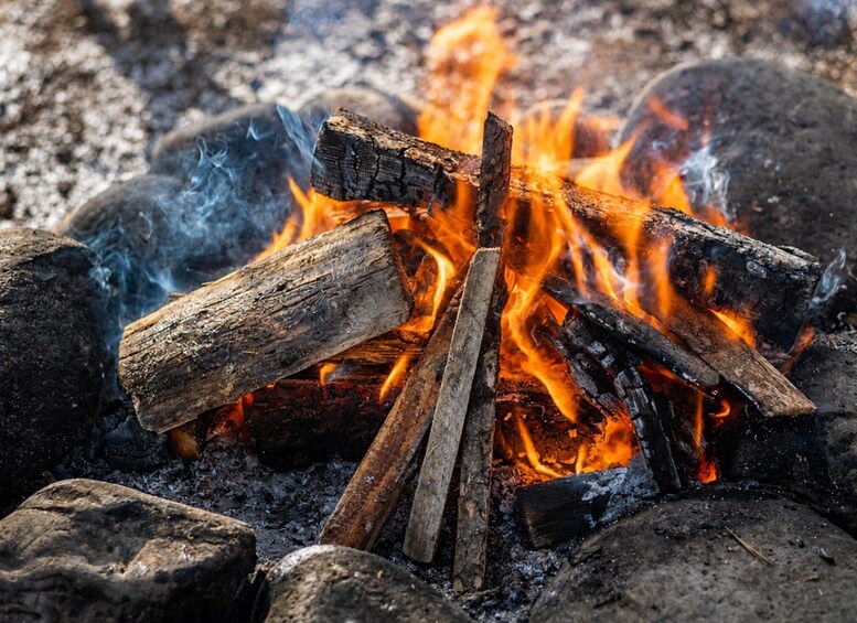 A campfire with logs and flames. 5