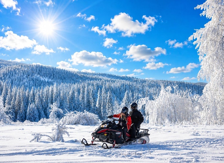 Un motoneige sur un paysage enneigé, avec une forêt en arrière-plan et un ciel bleu dégagé. 5