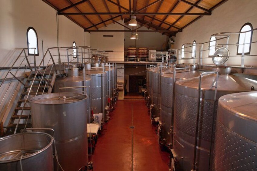 Stainless steel fermentation tanks in a winery. 2