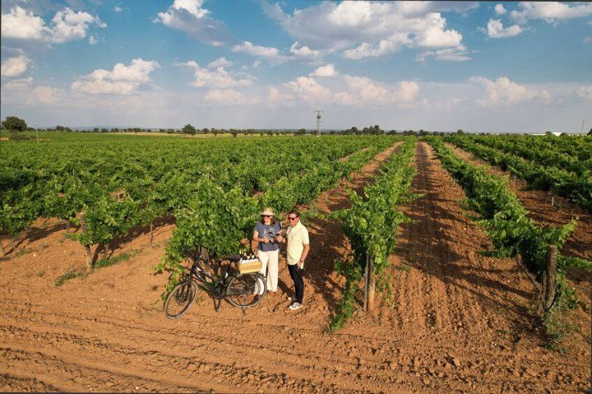 A vineyard with rows of grapevines, a bicycle, and two people standing. 1