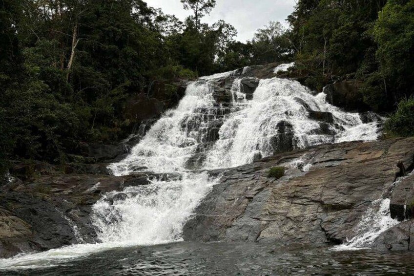 A waterfall cascading over rocks surrounded by dense forest. 3