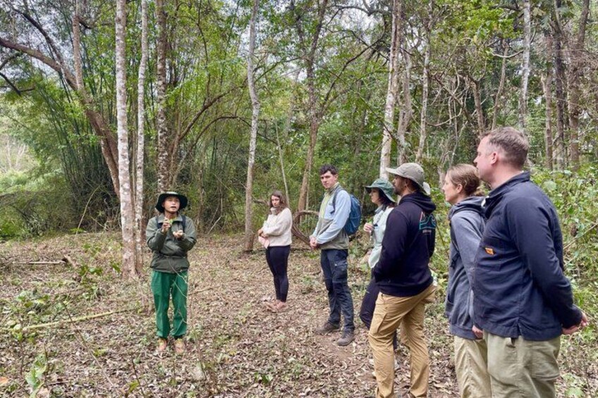 A group of people in a forested area, some wearing hats and jackets, standing and observing. 1
