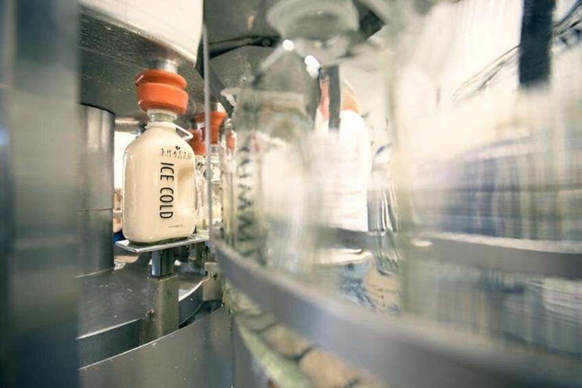 A conveyor belt with bottles labeled 'ICE COLD' in a factory setting. 4