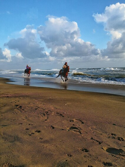 Deux personnes montent à cheval le long d’une plage, tandis que les vagues déferlent sur le rivage. 1