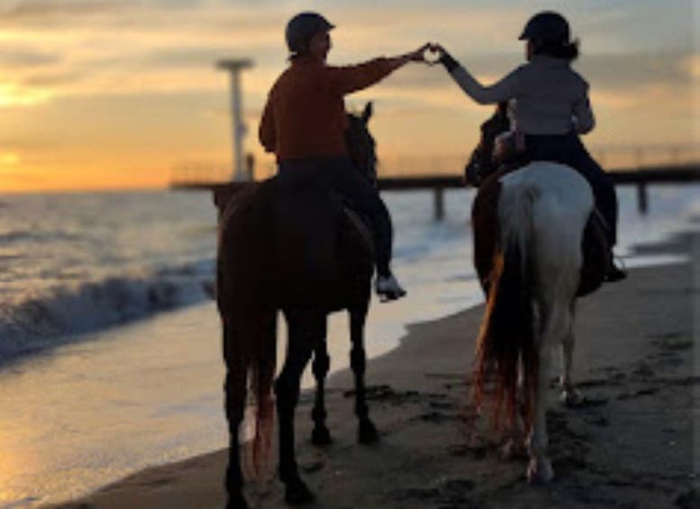 Deux personnes à cheval sur une plage au coucher du soleil. 4