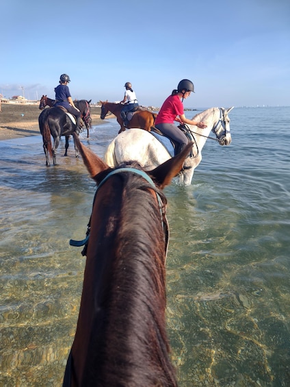 Un groupe de personnes à cheval, se promenant le long d’une plage, avec une eau claire et une côte visible au loin. 3