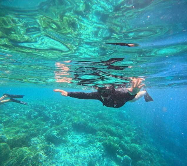 Una persona nadando bajo el agua con máscara y aletas de buceo. 1