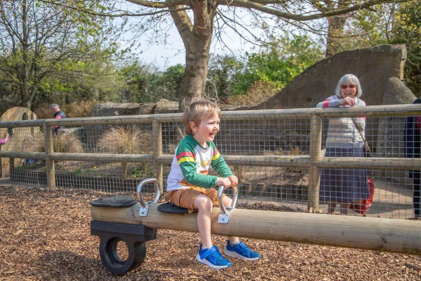 A child sitting on a wooden bench with a metal wheelbarrow, surrounded by a fence and trees. 4