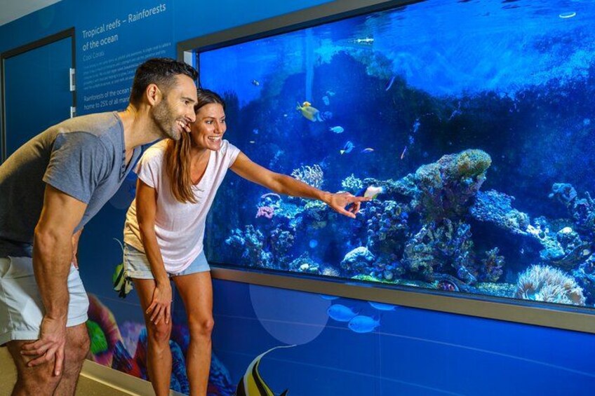 A large aquarium with tropical reef exhibits, including corals and fish. 1