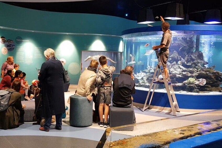 A museum exhibit with an aquarium, a ladder, and visitors observing. 2
